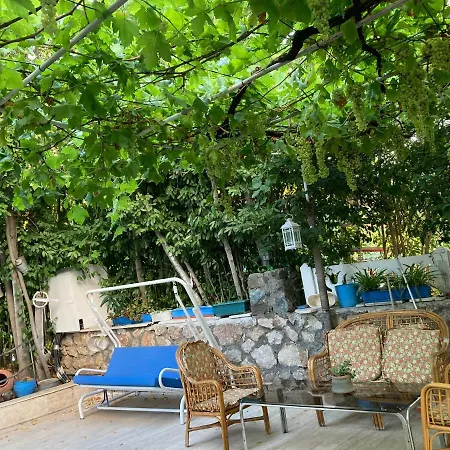 Camellia Πανσιόν